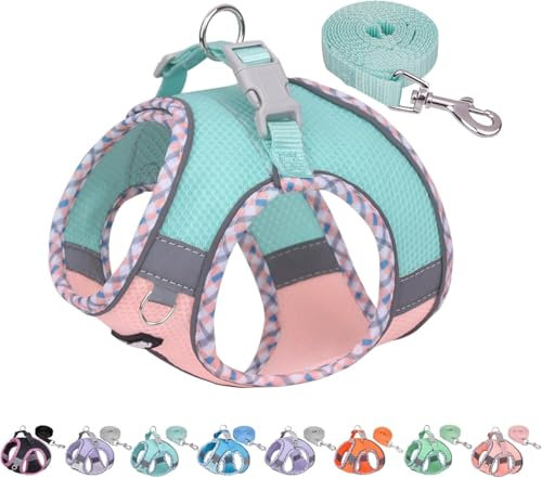 AIITLE Hundegeschirr Escape Proof, No-Pull Hundeweste mit Leine, atmungsaktives Mesh, reflektierende Streifen, verstellbares Hundegeschirr für mittlere Hunde Türkis-Rosa M