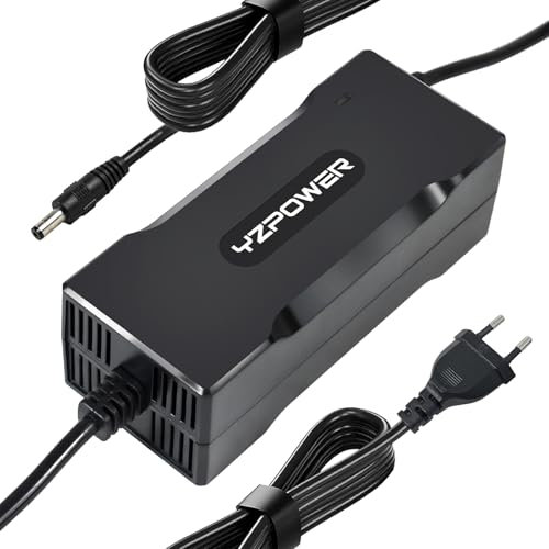 Cargador de Bicicleta eléctrica de 54,6 V para baterías de Iones de Litio de 48 V, 2 A y 13 S, Compatible con patinetes y Bicicletas eléctricas, con Conector de 5,5 x 2,1 mm.