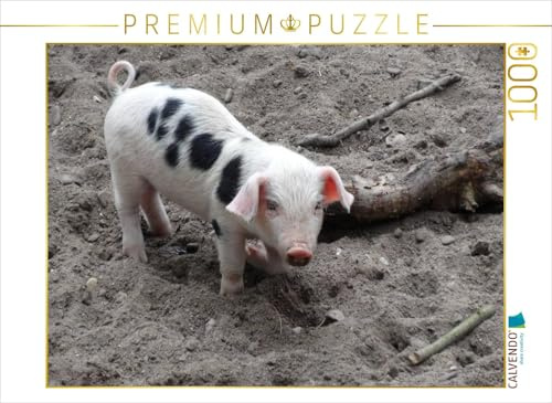 CALVENDO Puzzle Rosarotes Ferkel | 1000 Teile Lege-Größe 64 x 48 cm Foto-Puzzle für glückliche Stunden