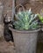 Pot Buddies - Figura de Gato Hecha a Mano para Colgar macetas, Adorno Decorativo para jardín, Figura de Maceta de Flores