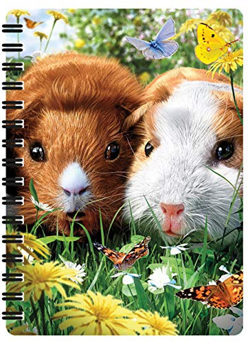 3D LiveLife Jotter - Meerschweinchen von Deluxebase. Linsenförmigeses 3D-Meerschweinchen A6-Spiralblock. Ein liniertes Notizbuch mit Kunstwerken, lizenziert vom bekannten Künstler David Penfound