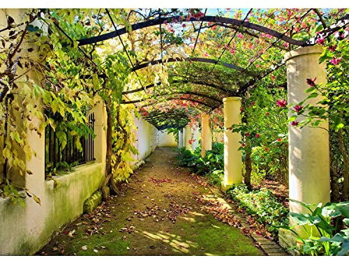 Runa Art Papier peint intissé 396 x 280 cm jardin Nature | Toison Décoration Murale Salon Chambre á Coucherr | Fabrication Allemande | vert 9003012a