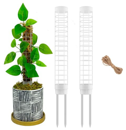 Poste de plástico pequeño para plantas monstera y trepadoras - Soporte potente para plantas (blanco, 2)