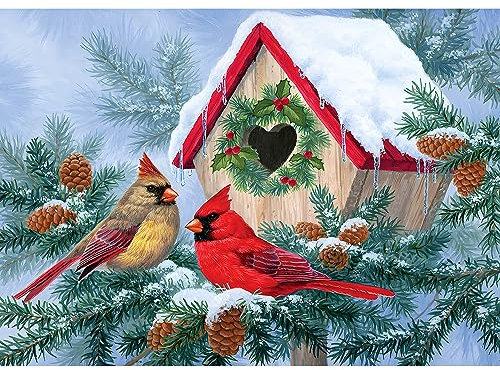 QENSPE 5D Diamond Painting Weihnachten Vogel Diamant Painting Bilder Winter Diamond Art Erwachsene Full DIY Diamant Kunst Malerei Stickerei Set Kreuzstich Bilder Home Wand Dekor 30x40cm