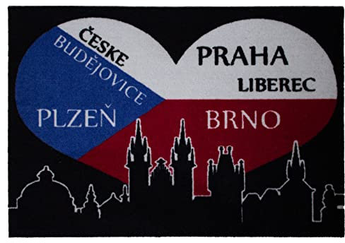 Astra- Matte in 50 x 70 cm 'Bratislava', Sauberlaufmatte, Innenmatte, Türmatte, Fußmatte
