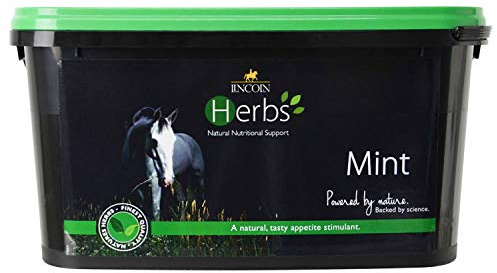 LINCOLN Herbs Mint PR-19590