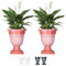 SG Traders Large Urn Plant Pot Stand, Flower Pots Outdoor Garden Planters, Indoor Plant Pot, Tall Planter with Drainage Holes, Strong Plastic Patio Home Plants (Pack of 2)