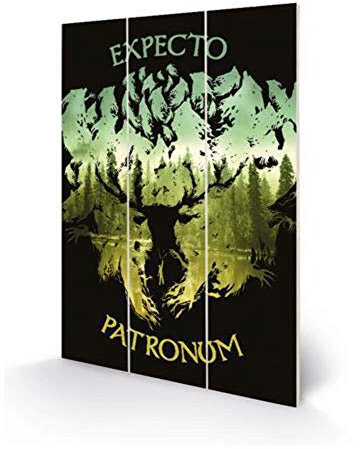 HARRY POTTER MW11967P Bild auf Holz, 20 x 29,5 cm (Expecto Patronum), Mehrfarbig, 5 x 1, 2 cm