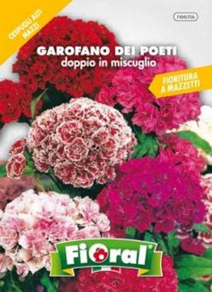 Sementi da fiore di qualità in bustina per uso amatoriale (GAROFANO DEI POETI DOPPIO IN MISCUGLIO)