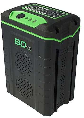 EXTENSILO 1x batteria sostituisce Greenworks 80V Max, 2901302, G80B2, 2901207 per 2500mAh 80V Li-Ion