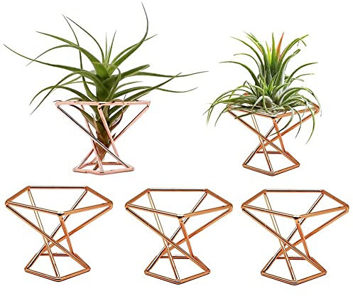 OWLEEN Paquete de 5 soportes para plantas de , soportes para plantas de , exhibición Tillandsias, contenedor de plantas purificadoras de , soporte para helechos de , color dorado