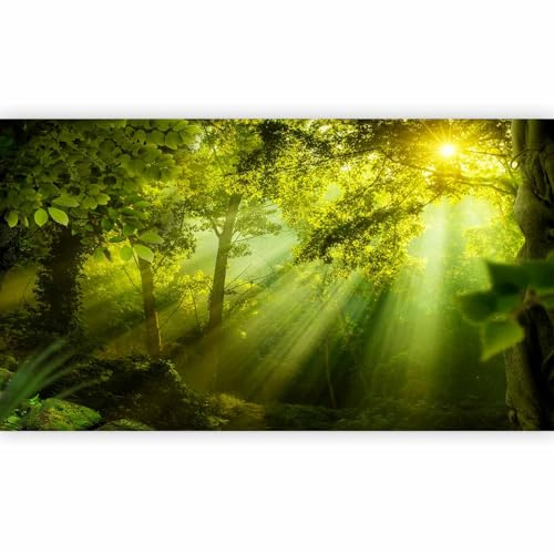 murando - Fototapete Vlies Waldlandschaft, 500x280 cm, Schlafzimmer, modern | Full HD Druck, 3D-Effekt, lichtbeständige Farben, ideal fürs Wohn- oder Schlafzimmer, schnelle Montage, lichtbeständig, edel