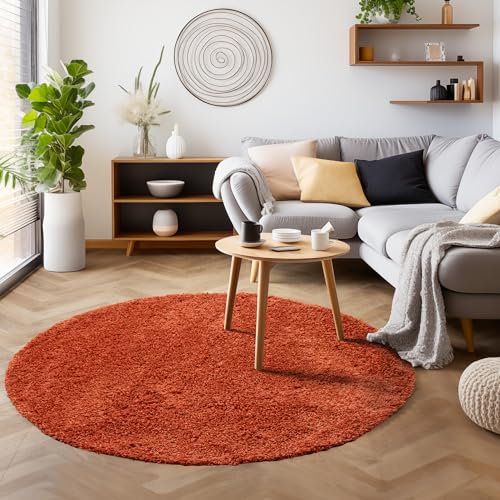 SIMPEX Flauschiger Teppich Wohnzimmer Schlafzimmer Läufer Flur Esszimmer Küchenteppich Hochflor Einfarbig Modernes Design 30 mm Florhöhe Kuschelweich, Terrakotta, 80 cm Rund