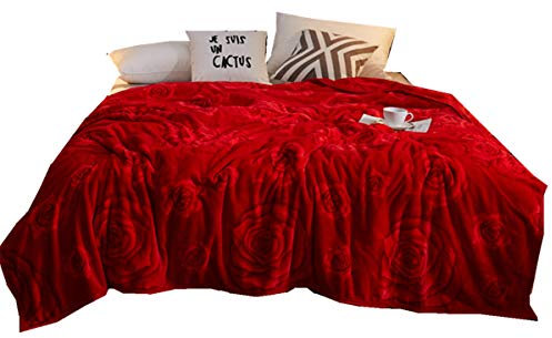 Kuscheldecke XL XXL Flauschige Wohndecke - Nordisch Stil Decke Warme Weiche Microfaser Fleecedecke Kinder/Erwachsener Kuscheldecke Tagesdecke Sofa Decke (Rote Rose, 200 x 230 cm)