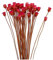 Bouquet Di Margherite Essiccate Fiori Secchi Naturali Decorazione in Vaso Tavolo Floreale 50 Steli Bouquet Di Fiori Secchi Rossi Fiori Finti Per La Decorazione in Vaso Mini Fiori Secchi Di Margherita