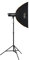 Walimex pro Campaigner 600 HS Set Single mit Integriertem 2.4 GHz Empfänger, 600 Ws, Schnelle Abbrennzeit, LED-Einstelllicht Und Benutzerfreundliches Bedienpanel, Hochwertiger Aluminium-Finish