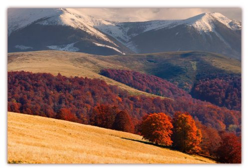 XXL Poster 100 x 70cm (F-219) Blick vom Gipfel ins Tal auf feuerrot belaubte Bäume in der Ferne erheben sich imposante Gebirgsmassive mit schneebedeckten Kronen (Lieferung gerollt!)
