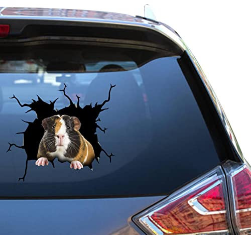 Meerschweinchen-Aufkleber, Auto, Meerschweinchen, Geschenke, Meme, Stoßstange, LKW, Aufkleber für Gesichter, Skateboard-Packs