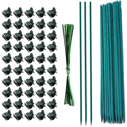 DeJivsin Bastoncini per Piante set 25 Bastoni per Piante 25 cavi 50 Mollette per Orchidee Può Essere Utilizzato per il Sostegno di Piante in Vaso e Giovani Piantine di Pomodoro.