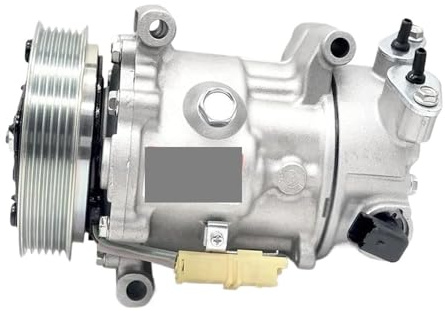Compressore Aria Condizionata Per Peugeot 207 208 307 308 9819711680 9822826880 648708 6453WK 6453ZX SD6C12 Compressore Climatizzatore