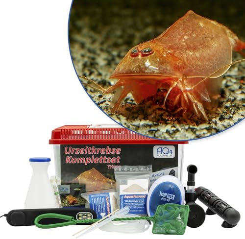 AQ4Aquaristik Triops cancriformis VAR. Beni Kabuto EBI Premium Komplett-Set mit Urzeitkrebs Eiern, 6 l Becken, LED-Beleuchtung, Zuchtansatz, Filter, Luftpumpe, Kescher, Futter, Zubehör, Anleitung
