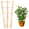 Cambaverd Natural Bamboo Fan-Shaped Trellis 2ft (60cm), Eco-Friendly Support for Climbing Plants, Vegetables and Fruits - Pack of 3 trellises