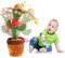 BEAUXI Cactus Qui Danse et Répète, Cow Boy Cactus Chantant et Dansant, Jouet de Danse Drôle pour Les Enfants,Cactus de Danse électronique de Secousse,Cactus Lumineux, Hauteur 35cm (Cow-Boy)