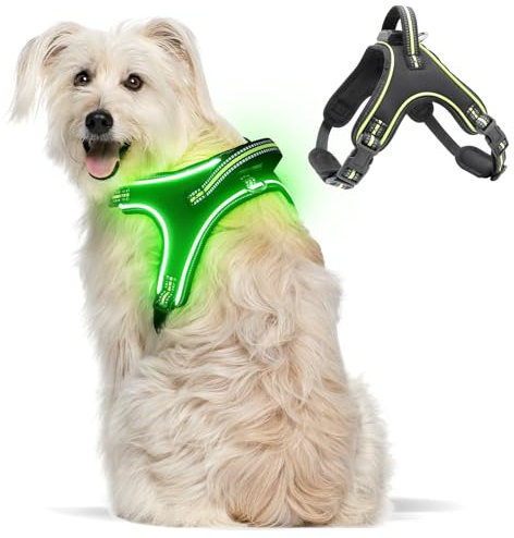 Light Up Hundegeschirr Leuchtend Aufladbar, LED Hundegeschirr mit Griff, Reflektierende Brustgeschirr für Bleiben Sie Nachts Sicher für Mittel Klein große Hund(Grün, XL)