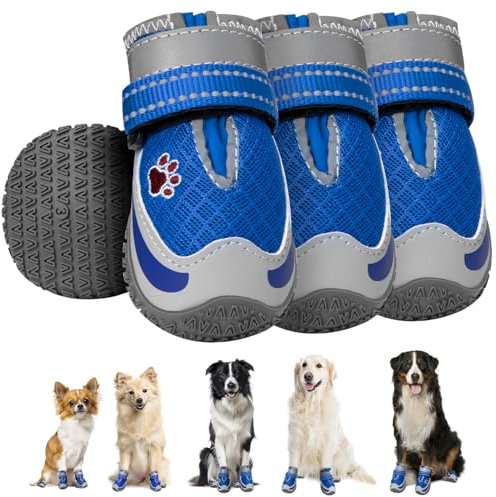 Eyein 4 Stück Hundeschuhe, Masche Atmungsaktiv Hundeschuhe Pfotenschutz mit Rutschfester Sohle für heiße Sommerböden, Reflektierende Hundeschuhe für nächtliche Spaziergänge im Freien, Blau, Größe 2
