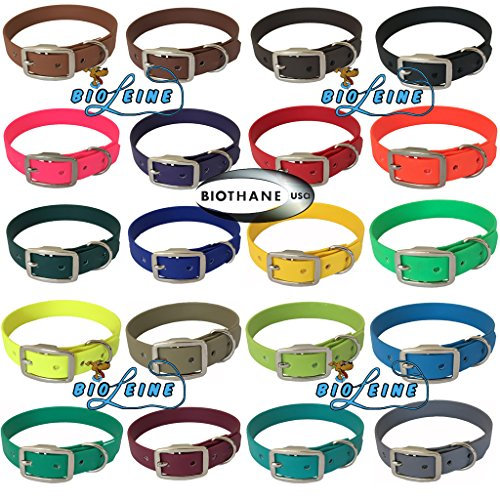 bio-leine Biothane Hundehalsband mit Dornschnalle – Halsband für kleine und große Hunde I schmutz- und wasserabweisend I Gelb - Halsumfang 40-50 cm