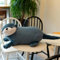 GudiWH Otter Plüschtier Lebensechte Tiere Soft Doll Schöne Faultier Spielzeug Geschenk für Kinder 80cm 2