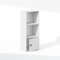 Furinno Luder 3-Tier Standing Shelf Bookcase with 1 Door Storage Cabinet, White