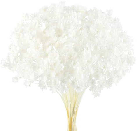 Larber 300 PCS Getrocknete Blumen Brasilianische Weiß Kleine Sternblume Blumen Mini Getrocknete Blumenstrauss Gänseblümchen Mini-Kamille Blumenstrauß für Blumenarrangement Hochzeit (Schneewiß)