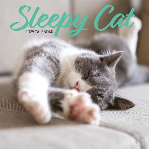 Sleepy Cat Kalender 2025