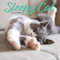 Sleepy Cat Kalender 2025
