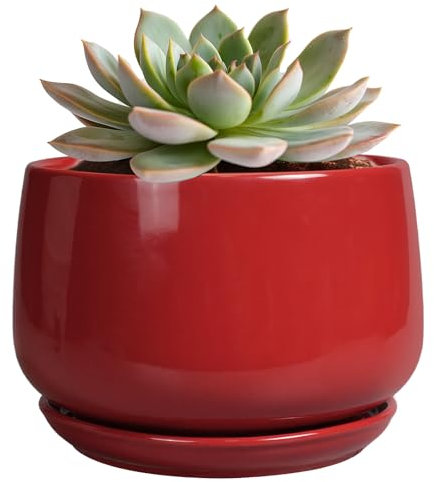 G EPGardening Keramiktöpfe für Pflanzen, 12,7 cm, große Keramik-Pflanzgefäße für Zimmerpflanzen, Outdoor, moderner Blumentopf mit Drainagelöchern und Untersetzer, für Büro, Garten, Terrasse, Rot
