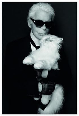 Karl Lagerfeld 1 Leinwand-Poster, Wandkunst, Dekordruck, Bild Gemälde für Wohnzimmer, Schlafzimmer, Dekoration, 40 x 60 cm