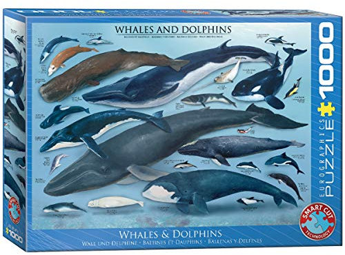 EuroGraphics 1000 Teile - Wale und Delfine, mehrfarbig, 6000-0082