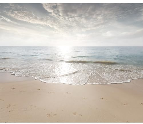 murando - Vlies Fototapete Strand Meer 400x280cm Foto Tapete Schlafzimmer Wohnzimmer Vliestapete XXL Motivtapeten Bildtapete 3d Effekt Wand Dekoration - Landschaft Natur Wellen c-C-10033-a-a