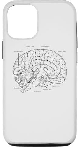 Hülle für iPhone 14 Unterhaltsame Gehirnanatomie, Psyche, Neurowissenschaften, Teile der Gehirnwissenschaft