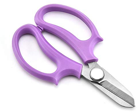 Trimming Tool Floral Pruning Scissors Garden Shears Tools Stainless Steel Garden Cut Flower Shop Flowers Pruning Shears Gardening Arrangement Suitable for Gardens and lawns