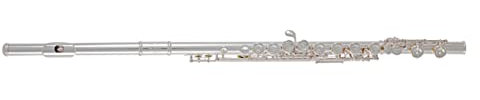 Roy Benson Querflöte FL-602E (neusilber versilbertes Premium Design, PISONI-Polster & Innovative E-Mechanik, Luxusinstrument, für anspruchsvolle Musiker, inklusive Pflegezubehör und Schutz-Etui)