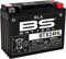 BS Battery 300770 btx24hl AGM SLA Batería de moto, color negro