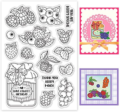 BENECREAT Obst Clear Stamps, Beeren-Himbeer-Blätter, Transparente Silikonstempel Für Die Kartenherstellung, Dekoration Und DIY Scrapbooking-Album, 16x11cm/6.3x4.3 Zoll