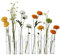Dinyeo Klappbare Blumenvase verschiedene Höhen Klarglas Zylinder Glas Faltbare Vase Reagenzglas Anzuchtstation