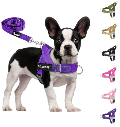 Eyein Hundegeschirr für mittelgroße Hunde mit Leine, Fleece-gepolstert | Anti-Zug Brustgeschirr mit 2 D-Ringen für Training & Spaziergänge, reflektierend, verstellbar an Hals & Brust (Lila, S)
