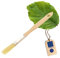 HOFMEISTER® Haushaltspinsel, flach, 18 x 1,5 cm, aus Buchenholz, Backpinsel mit Naturborste, 100% Made in Germany, Breite: 0,5 Zoll,
