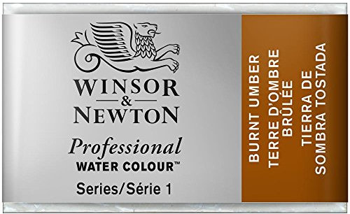Winsor & Newton Aquarelle Professionnel - Peinture Aquarelle, Haute Luminosité, Résistante à la Lumière, Qualité Archive, Godet, Couleur Terre d'Ombre Brûlée