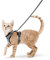 rabbitgoo Katzengeschirr mit Leine Ausbruchsicher Katzenleine Kitten Welpengeschirr Verstellbar Cat Harness Weich Brustgeschirr für Katzen kleine Hunde Kaninchen Reflektierend Katzenweste Grau S