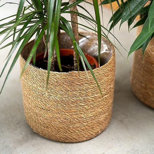 DARO DEKO Seegras Korb rund Natur Ø 38 x 35 mit Einsatz Blumentopf geflochten Aufbewahrungskorb Über-Topf Blumenkorb